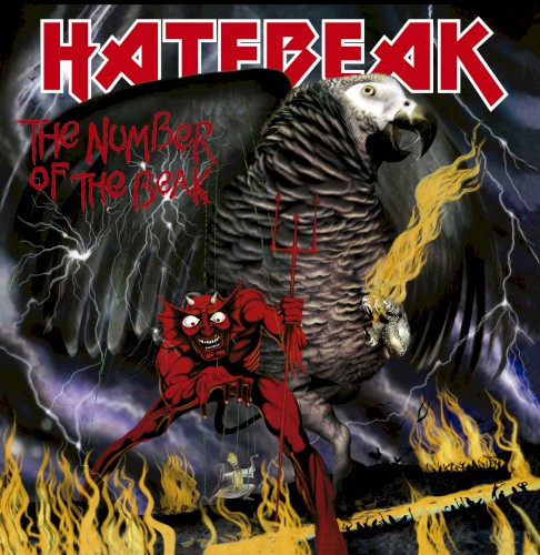 Number of the Beak