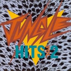 Jungle Hits Vol. 2