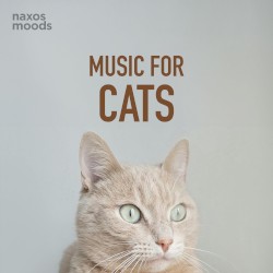 Music for Cats