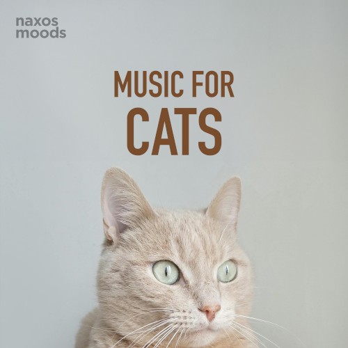 Music for Cats