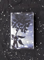 Galaxies