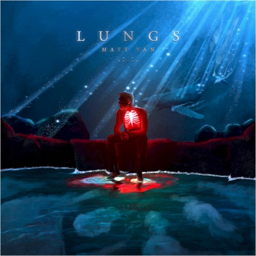 Lungs
