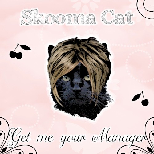 Get me your Manager
