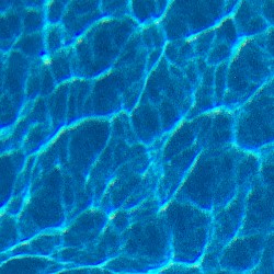 When You Are A Wave