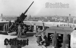 Ostfront