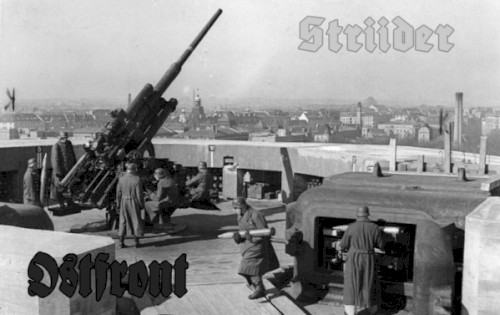 Ostfront