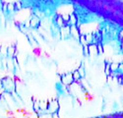 ANXIOUS NITE #10