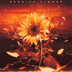 Burning Flower