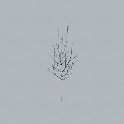 What Part of Me