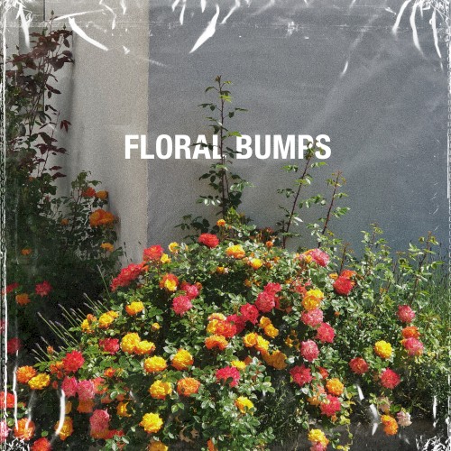 Floral Bumps