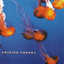 Unified Theory