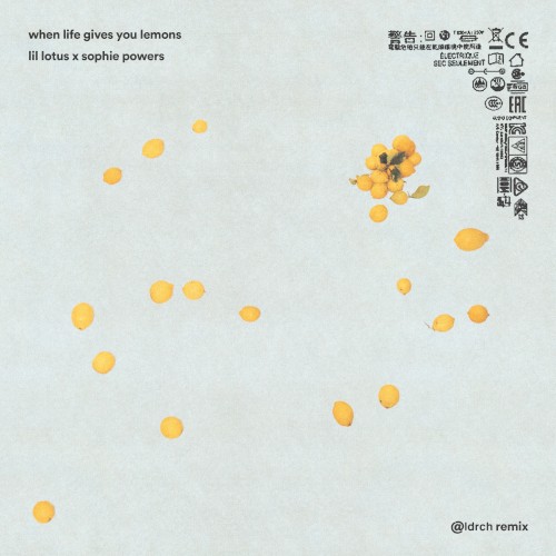 When Life Gives You Lemons (aldrch remix)