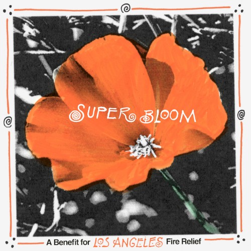 Super Bloom: A Benefit for Fire Relief in Los Angeles