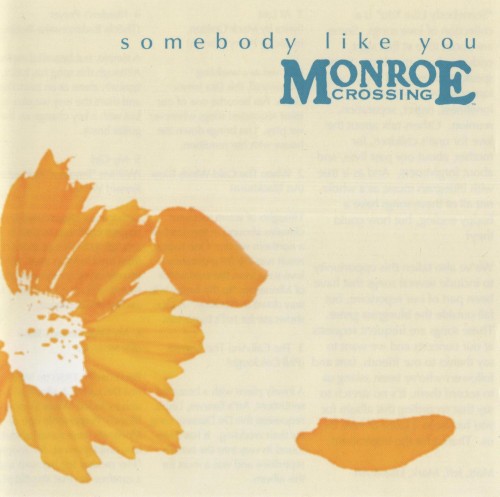 Somebody Like You