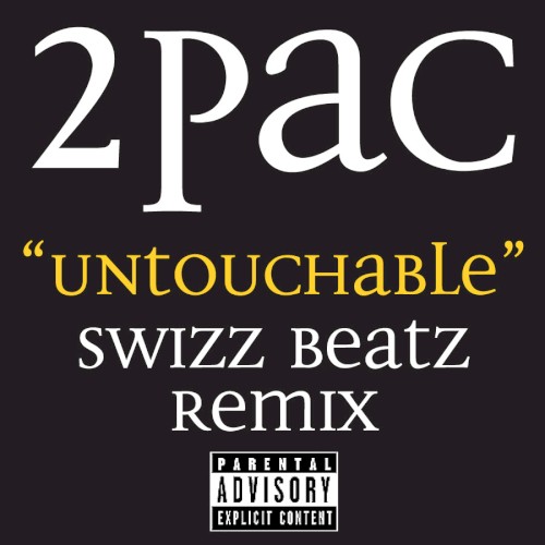 Untouchable (Swizz Beatz remix)