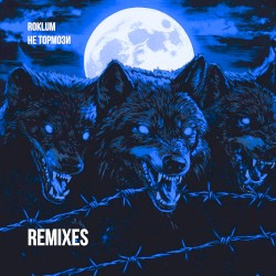 Не тормози (Remixes)