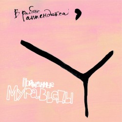 В районе Аппендикса