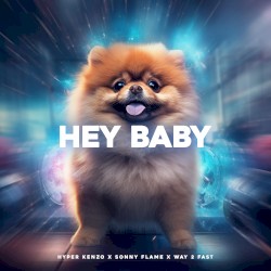 Hey Baby (Drop it to the Floor) [Techno Version]