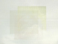Vallonine