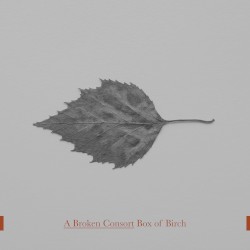 Box of Birch