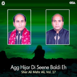 Agg Hijar Di Seene Baldi Eh, Vol. 16