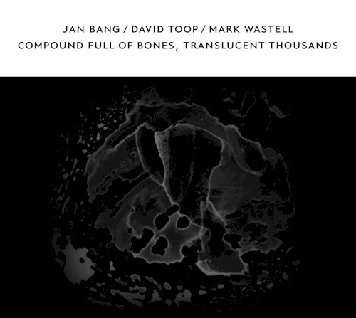 Compound Full of Bones, Translucent Thousands