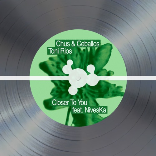 Closer To You (feat. NivesKa)