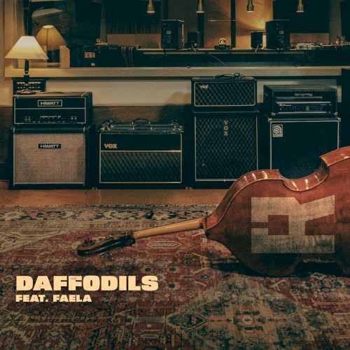 Daffodils