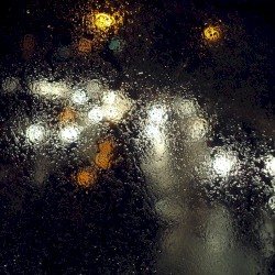 Dust in Light