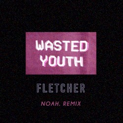 Wasted Youth (Noah. remix)