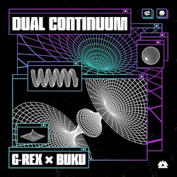 Dual Continuum