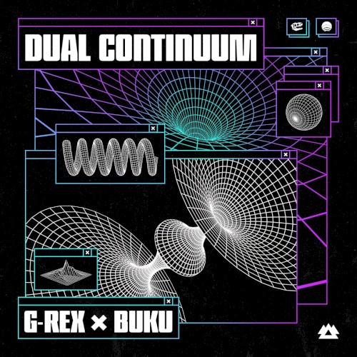 Dual Continuum
