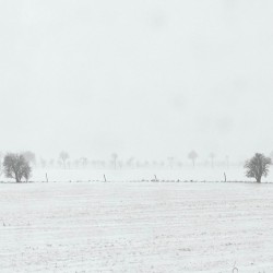 Winter Air