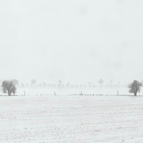 Winter Air