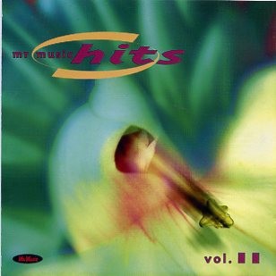 Mr Music Hits 11. 1999