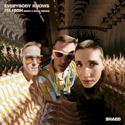 Everybody Knows I’m High (NIIKO X SWAE remix)