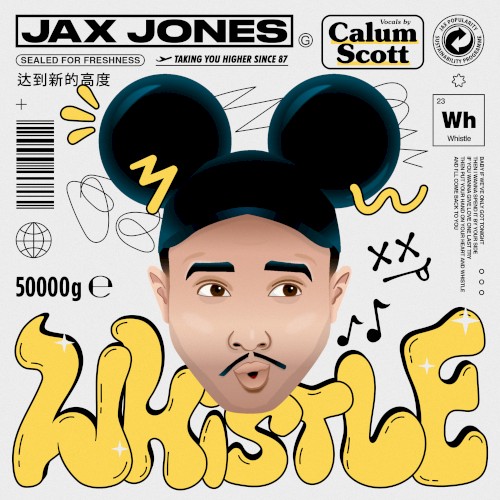 Whistle (versions)
