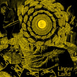 Lingerland