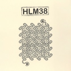 HLM38