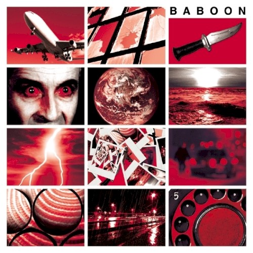 Baboon