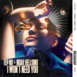 I Won’t Need You
