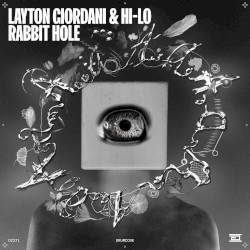 Rabbit Hole