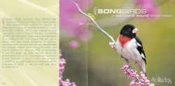 Songbirds: A Surround Sound Experience