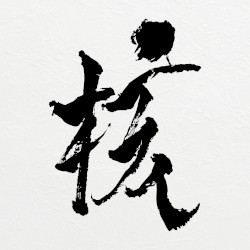 THE CORE - 核