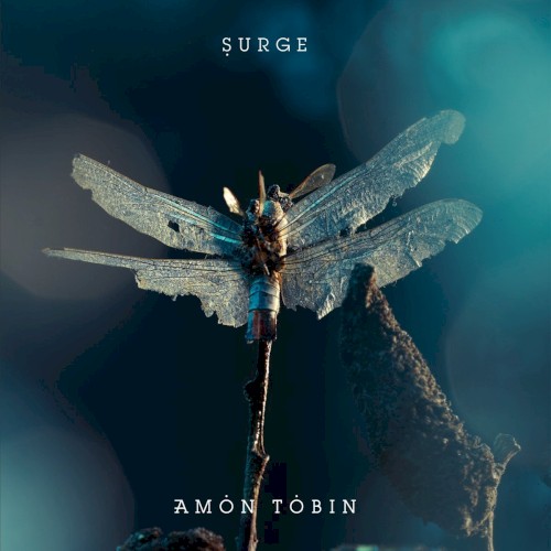 Surge