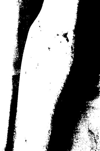 JUNK.