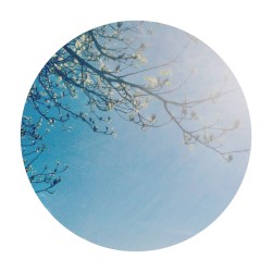 Breeze