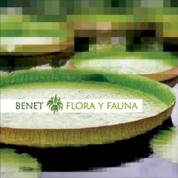 Flora Y Fauna