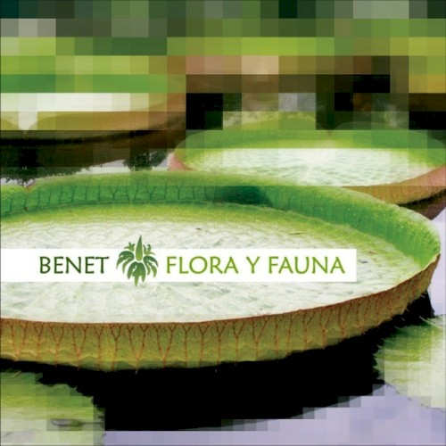 Flora Y Fauna
