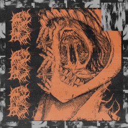 Feral